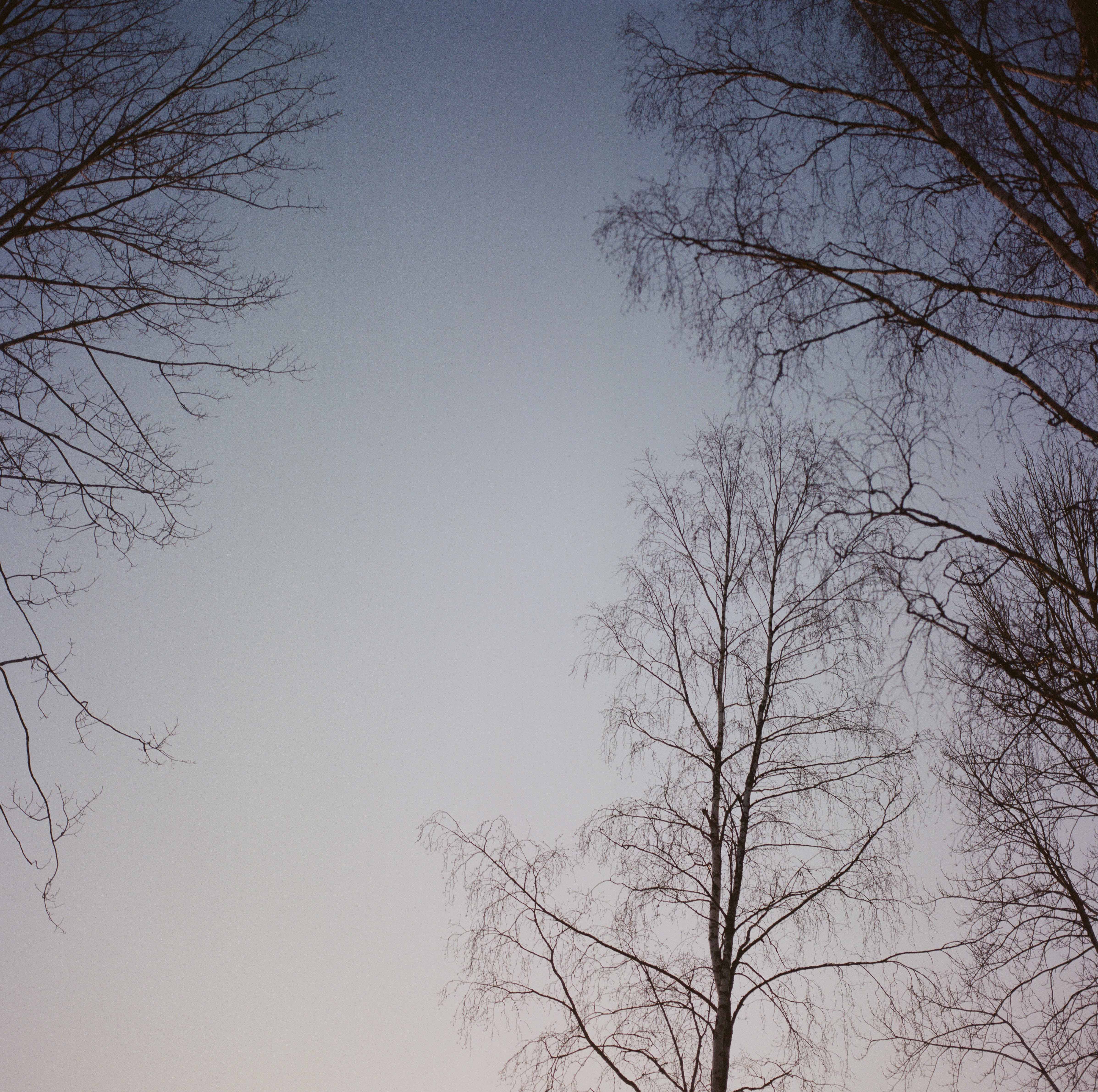 Syväoro (Russia). 1.8.2019 © Hanna Koikkalainen.