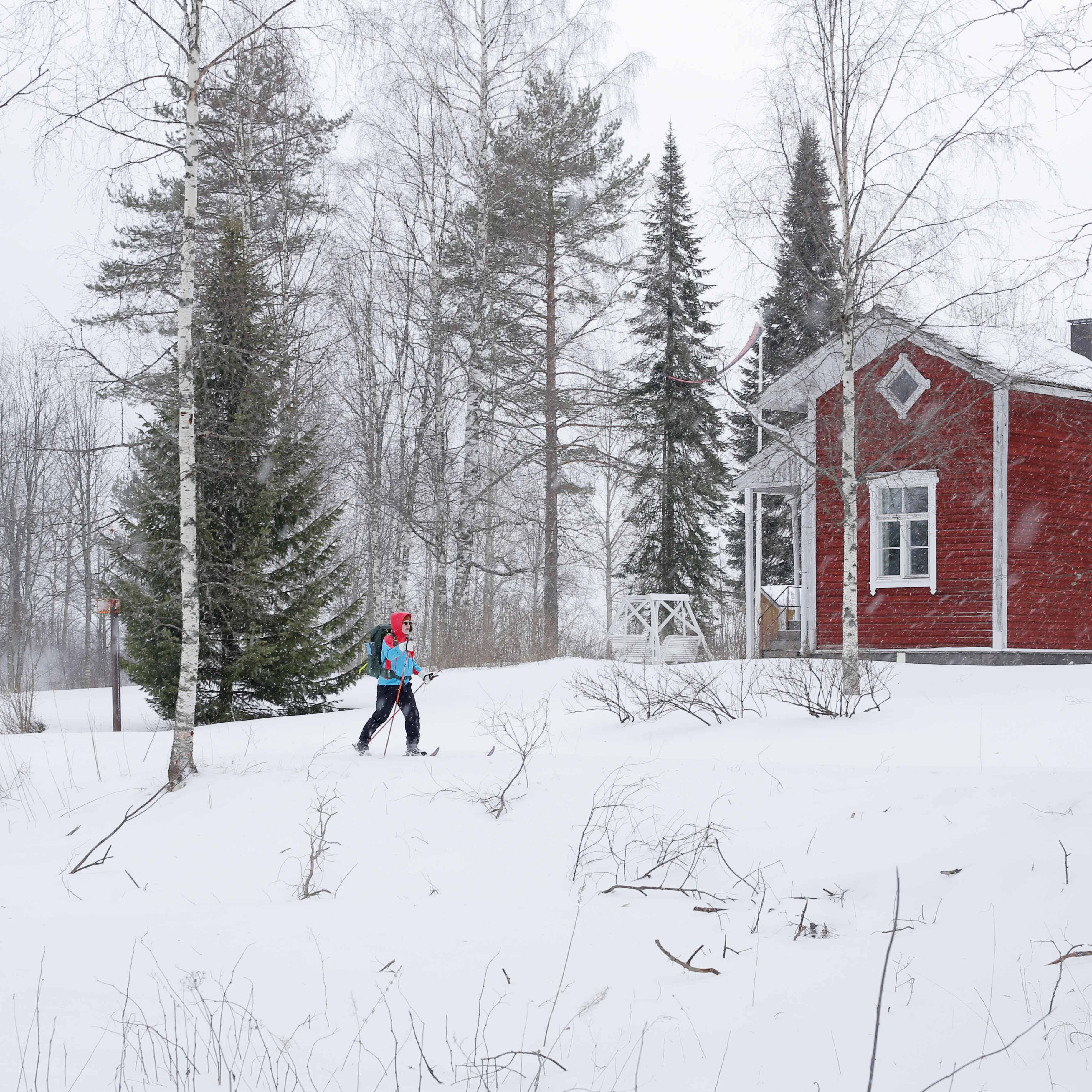 Parikkala. 18.2.2023 © Hanna Koikkalainen.
