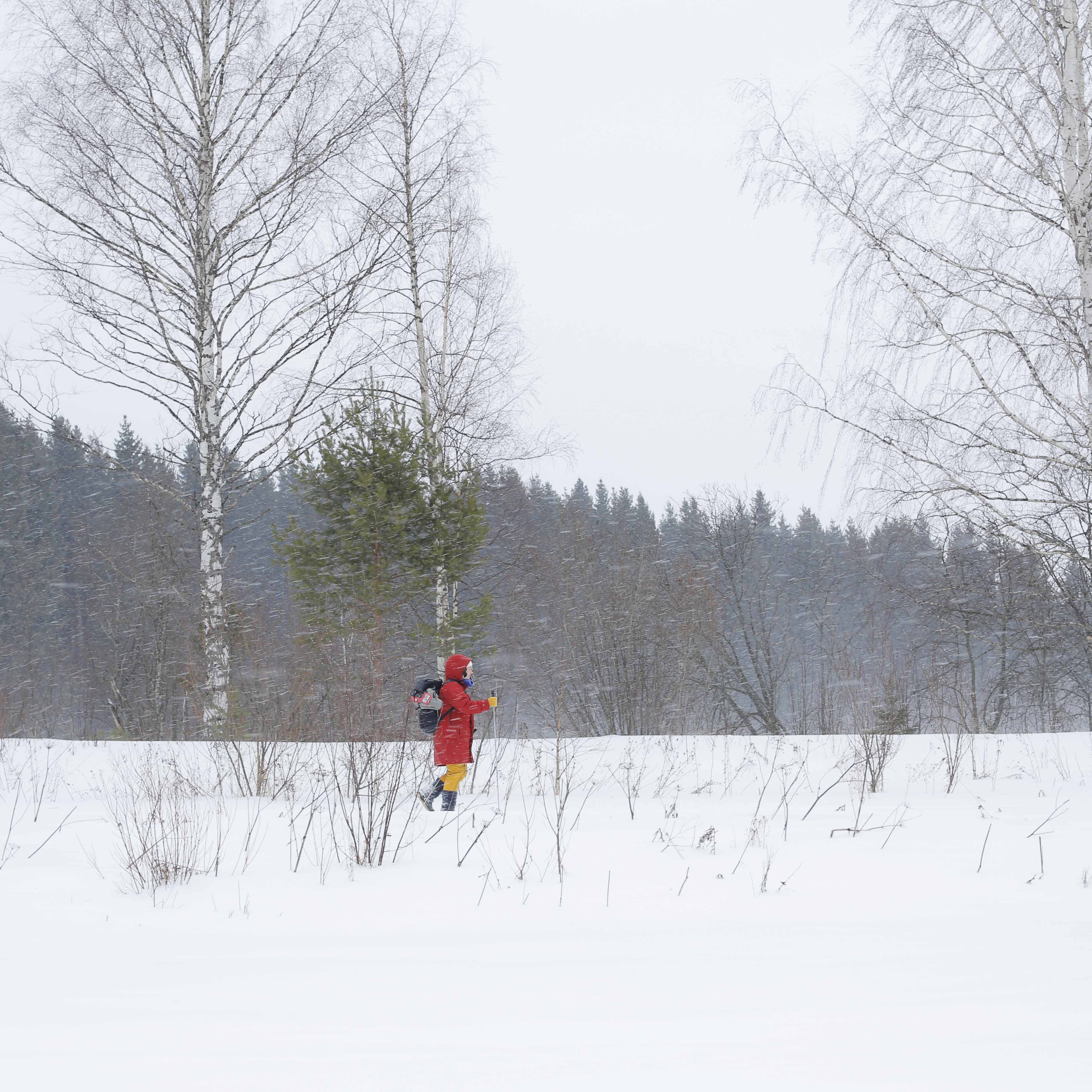 Parikkala. 18.2.2023 © Hanna Koikkalainen.