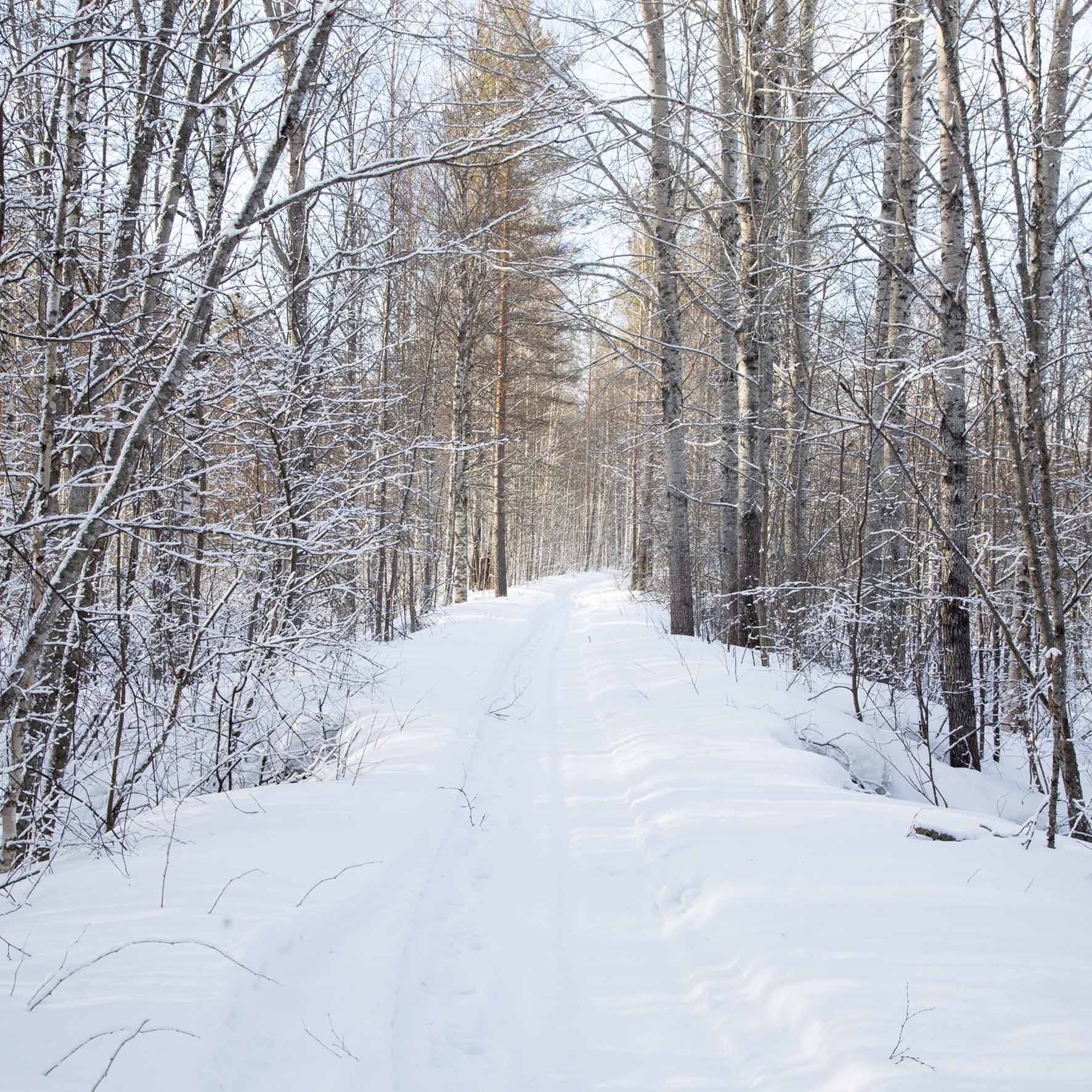 Parikkala. 18.2.2023 © Hanna Koikkalainen.