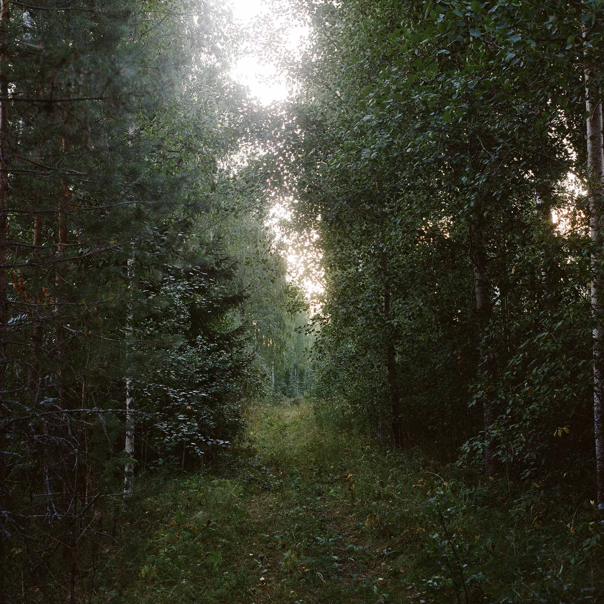 Parikkala. Summer 2022 © Hanna Koikkalainen