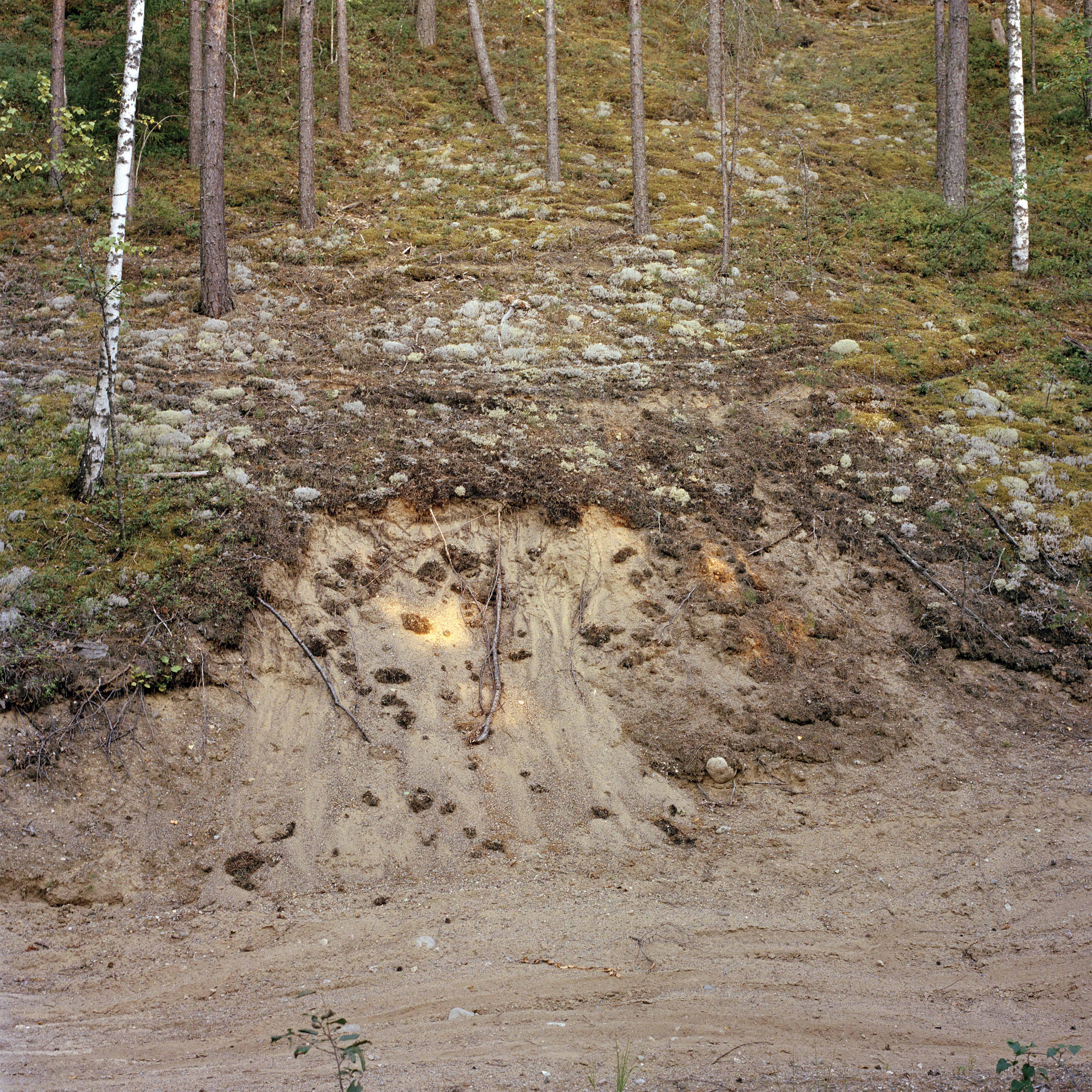 Parikkala. Summer 2022 © Hanna Koikkalainen