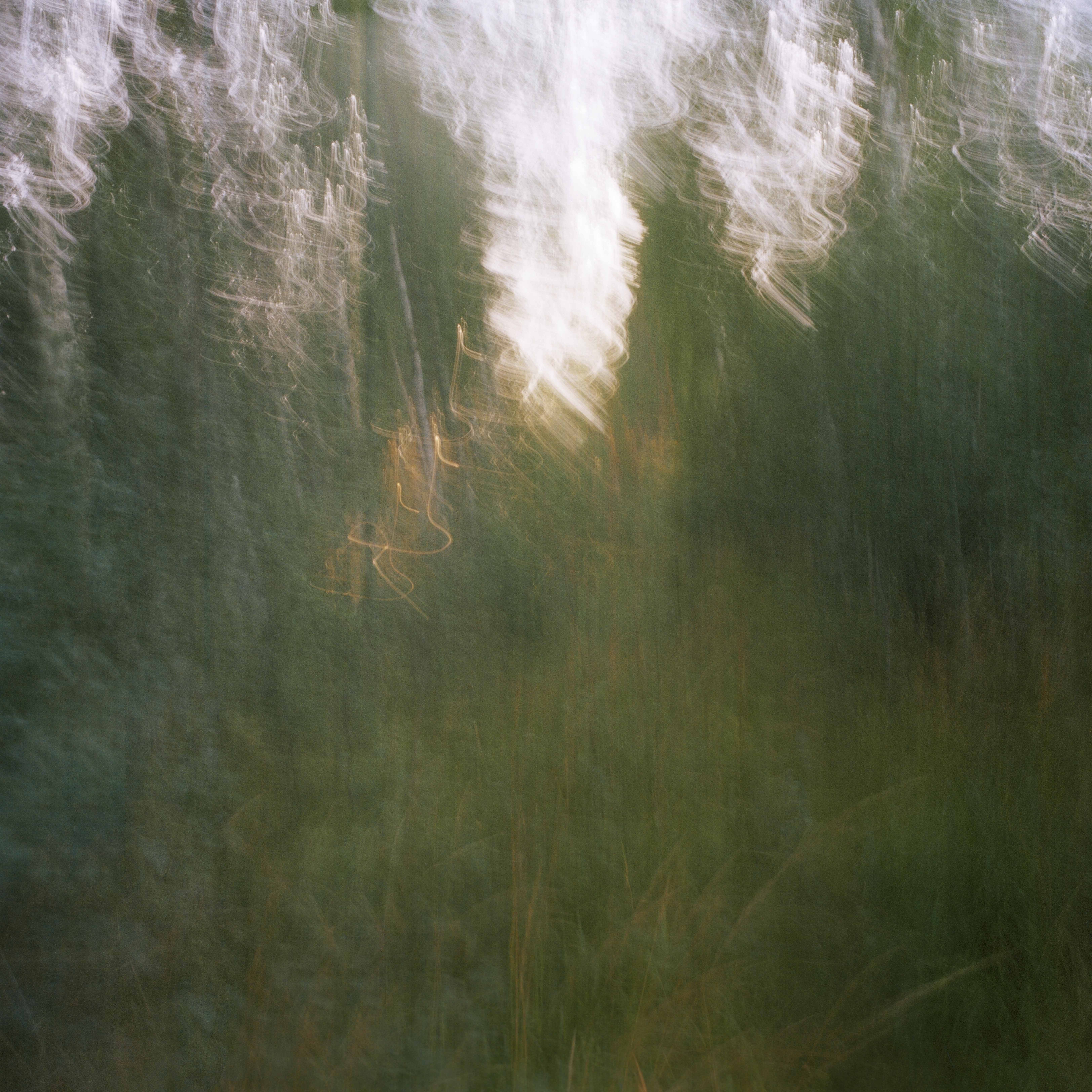 Parikkala. Summer 2022 © Hanna Koikkalainen