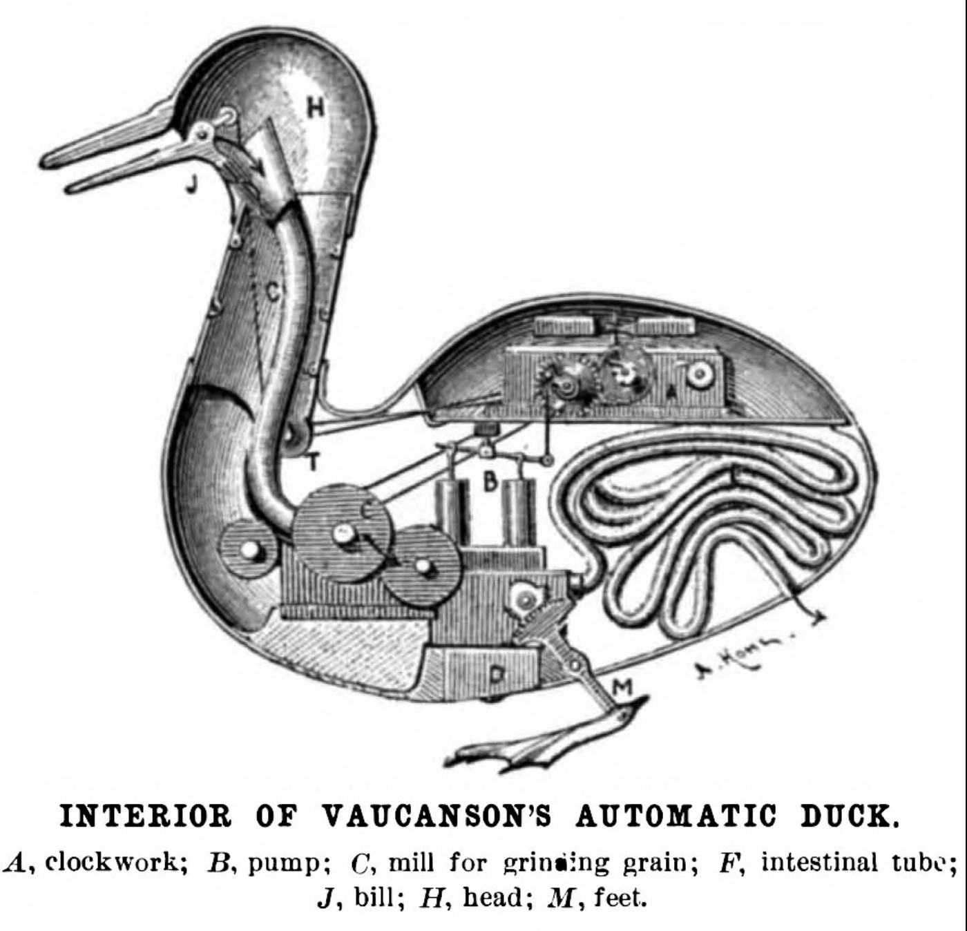 Digesting Duck (Hodinkee n.d.).