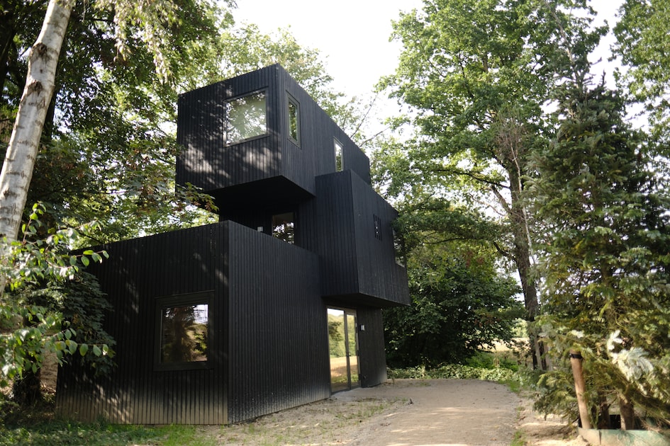 Treehouse    (Forrest)