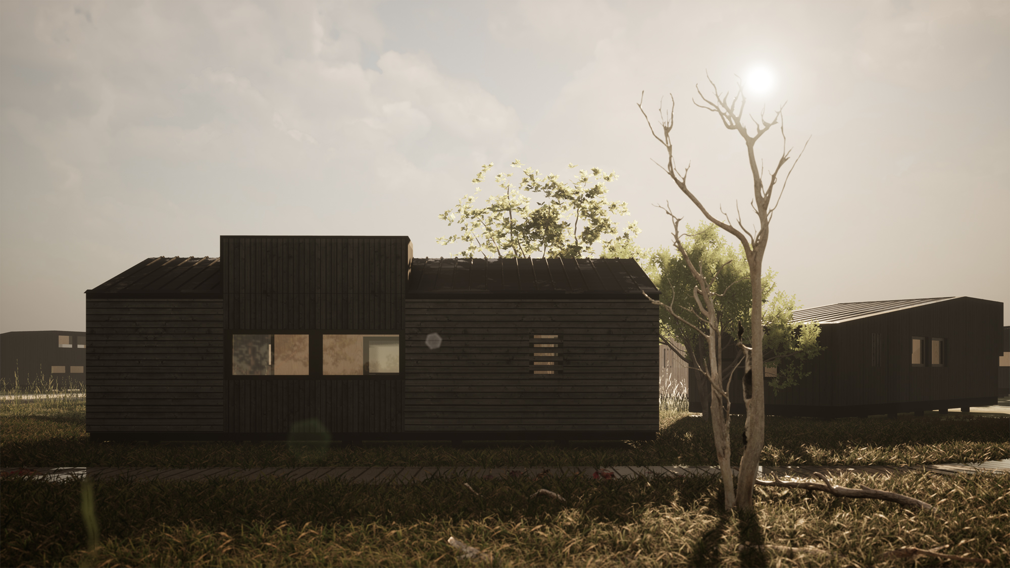 Forest house photo
