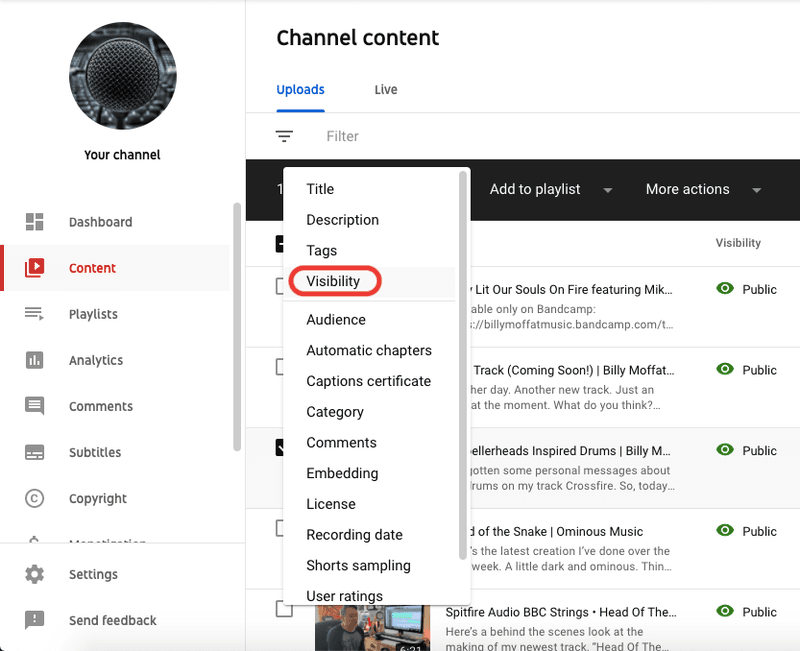 YouTube Visibility Option