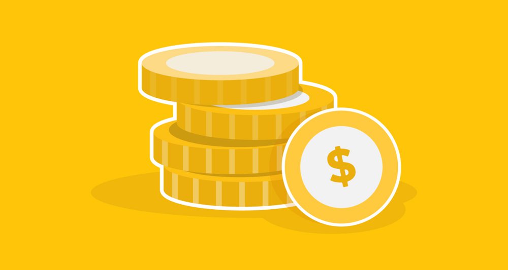 cost of professional video