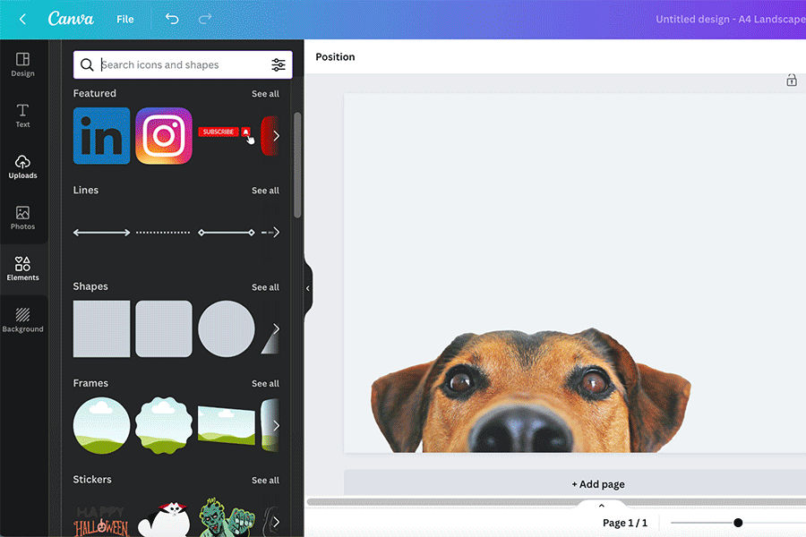 A GIF series displaying a screen view of the Canva app, showing steps involved in how to add colour gradient to an image of a dog. 