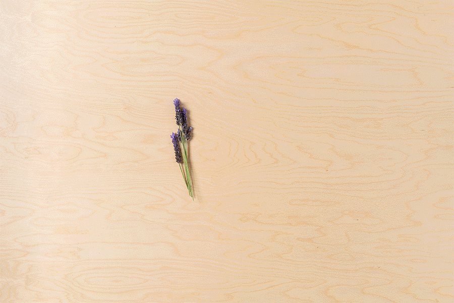 Series of flowers and leaves arranged on a wooden surface, gradually forming a vibrant floral composition with red, pink, purple and yellow blooms alongside green foliage.