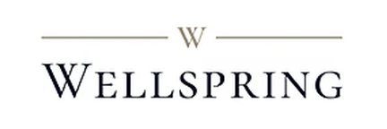 Comercializadora Wellspring Sa De Cv