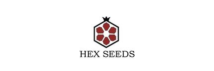 Hex Seeds Mx