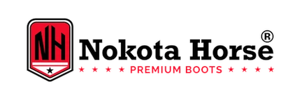 Nokota Horse