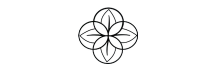 Xilema