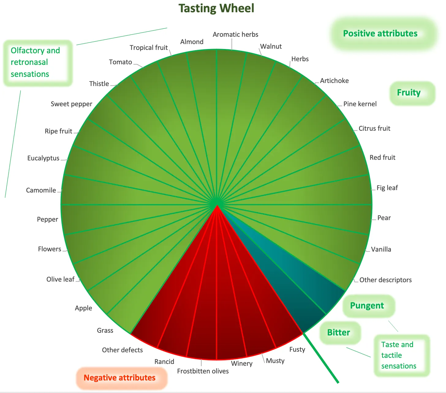 olive_oil_tasting_wheel