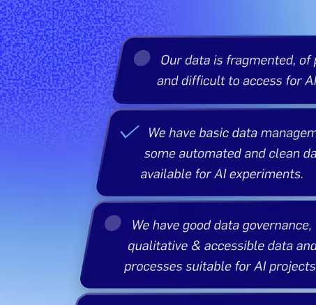 Selection interface showing three AI data management options, with the middle option checked indicating basic data management and some automated clean data for AI experiments.