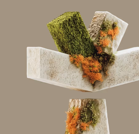 Abstract 3D structure with textured blocks covered in green moss and orange lichen on a beige background.