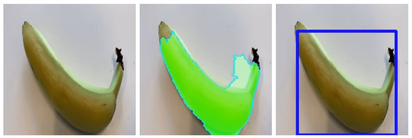 Different stages of a banana being recognized by the program