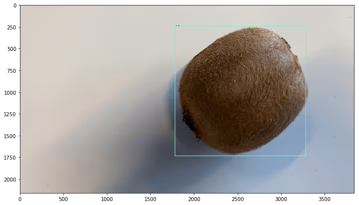 A kiwi recognized by the program