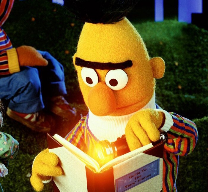 Bert of Bert and Ernie reading with a flashlight