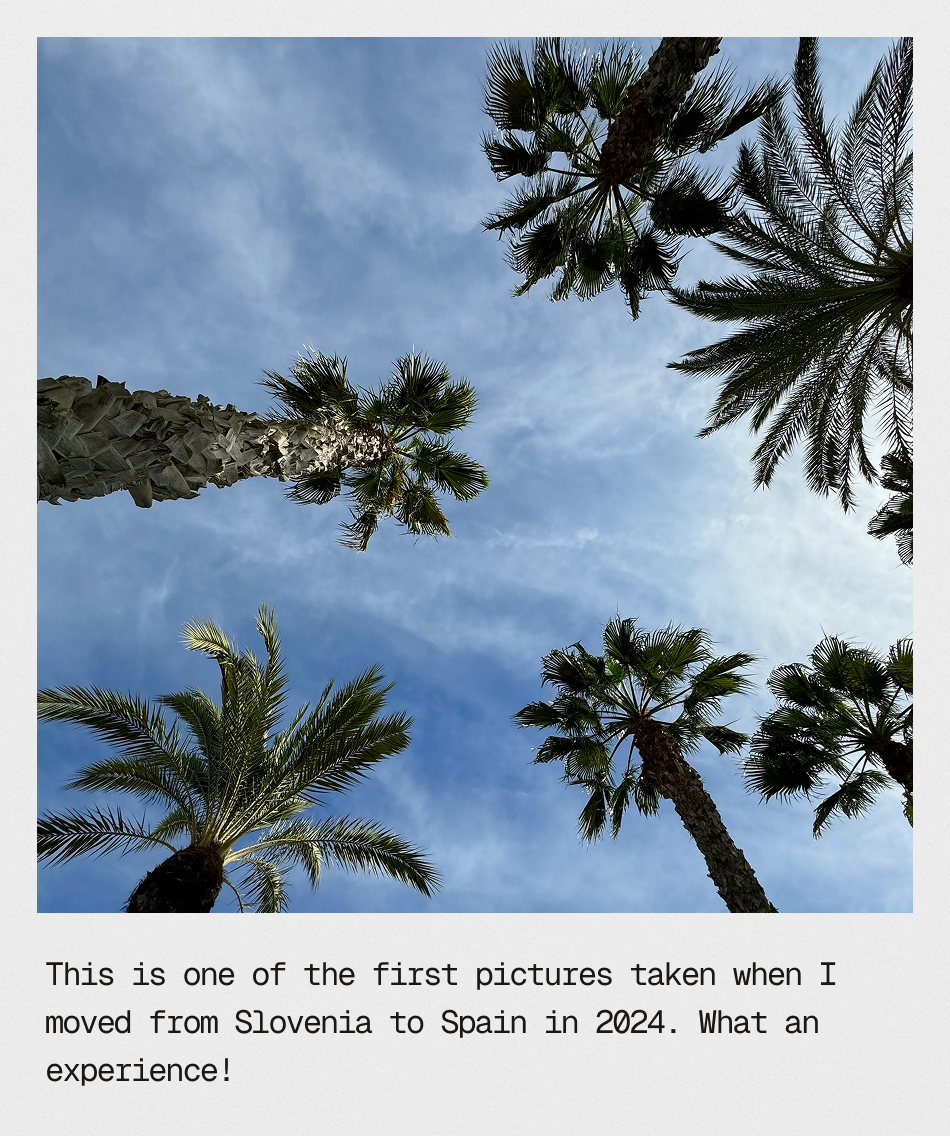 One of the first pictures after moving