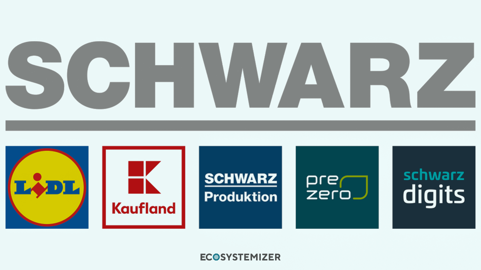 Schwarz Group Ecosystem 