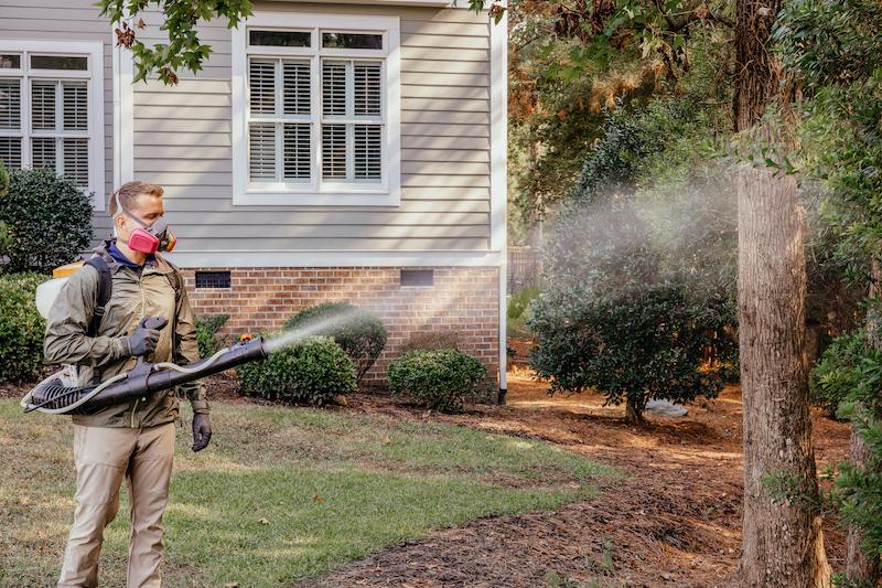 spraying a tree with pestacides