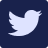 Twitter Logo Link