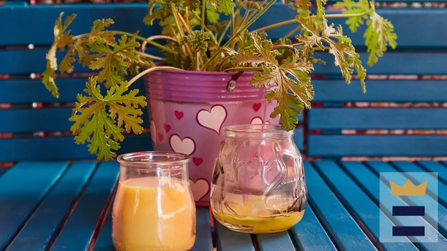 Displayed image from the thumbnail slider