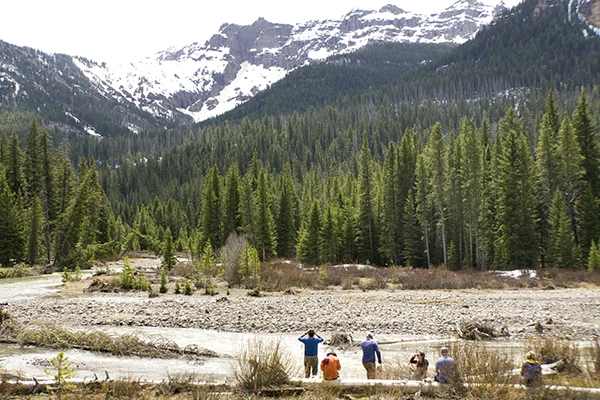 Displayed image from the thumbnail slider