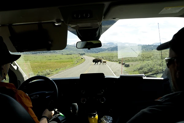 Displayed image from the thumbnail slider