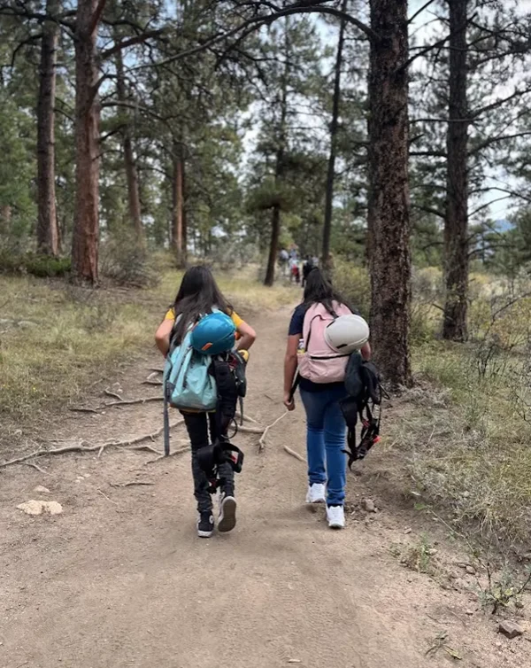 Displayed image from the thumbnail slider