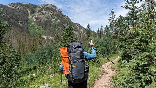 Displayed image from the thumbnail slider