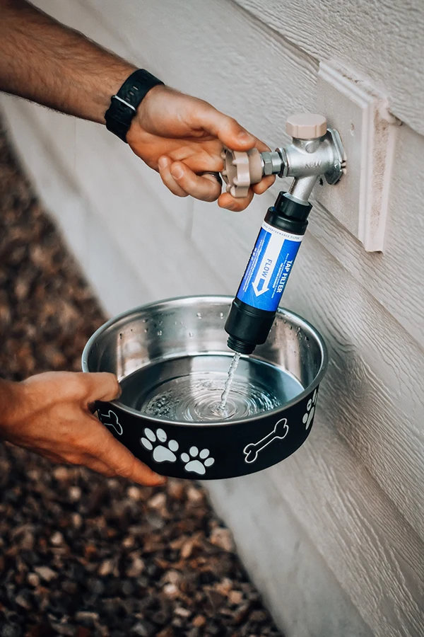 Displayed image from the thumbnail slider