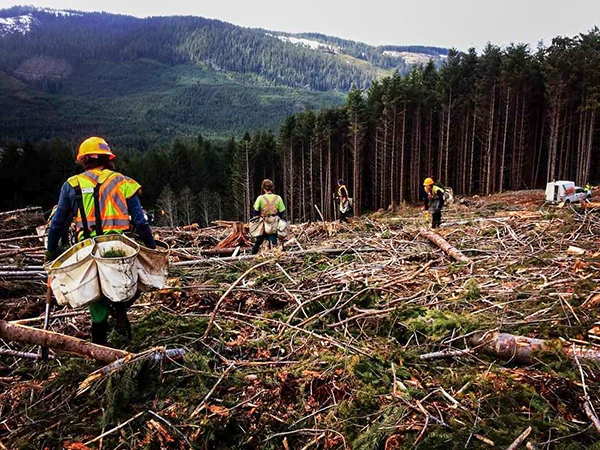 Displayed image from the thumbnail slider