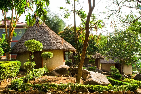 Displayed image from the thumbnail slider