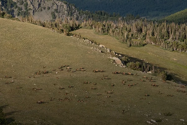 Displayed image from the thumbnail slider