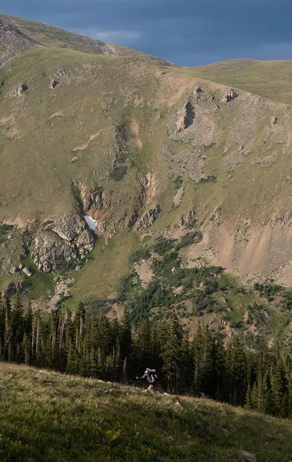 Displayed image from the thumbnail slider