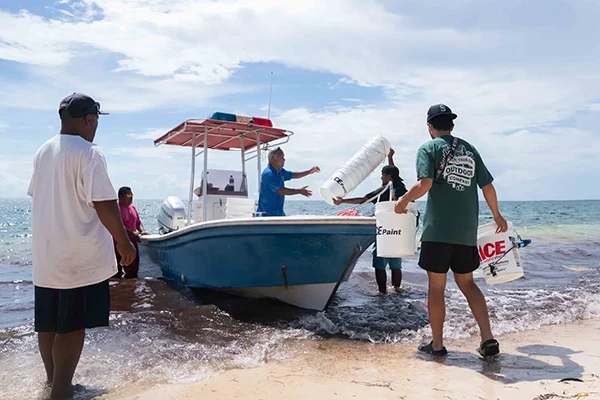 Displayed image from the thumbnail slider