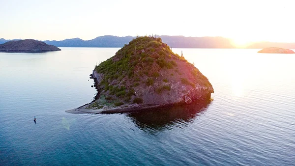 Displayed image from the thumbnail slider