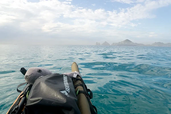 Displayed image from the thumbnail slider