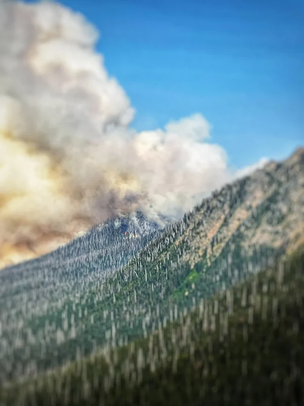 Displayed image from the thumbnail slider