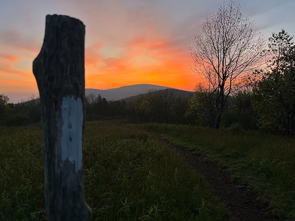 Displayed image from the thumbnail slider