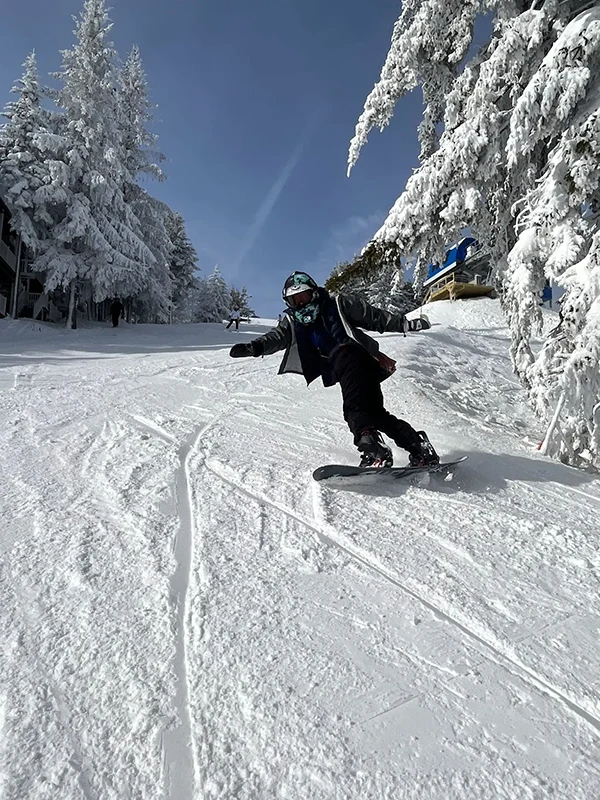 Displayed image from the thumbnail slider