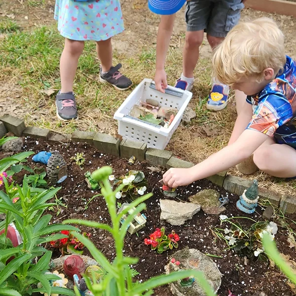 Displayed image from the thumbnail slider