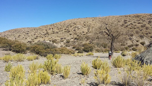 Displayed image from the thumbnail slider