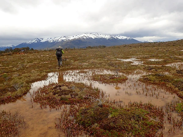 Displayed image from the thumbnail slider