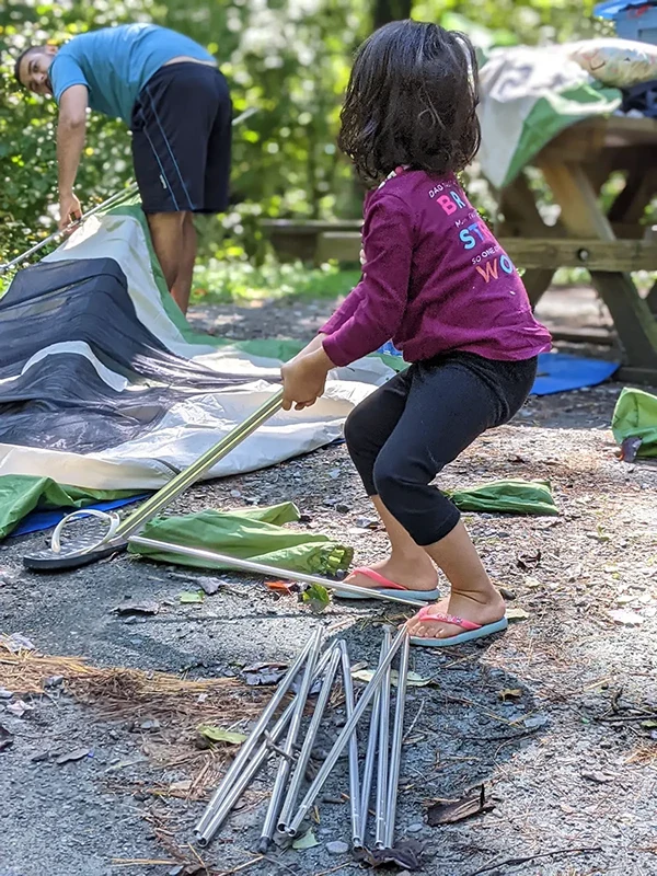 Displayed image from the thumbnail slider