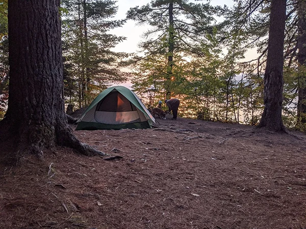 Displayed image from the thumbnail slider