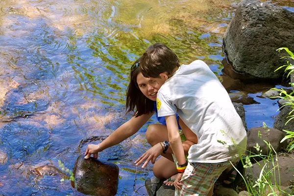 Displayed image from the thumbnail slider